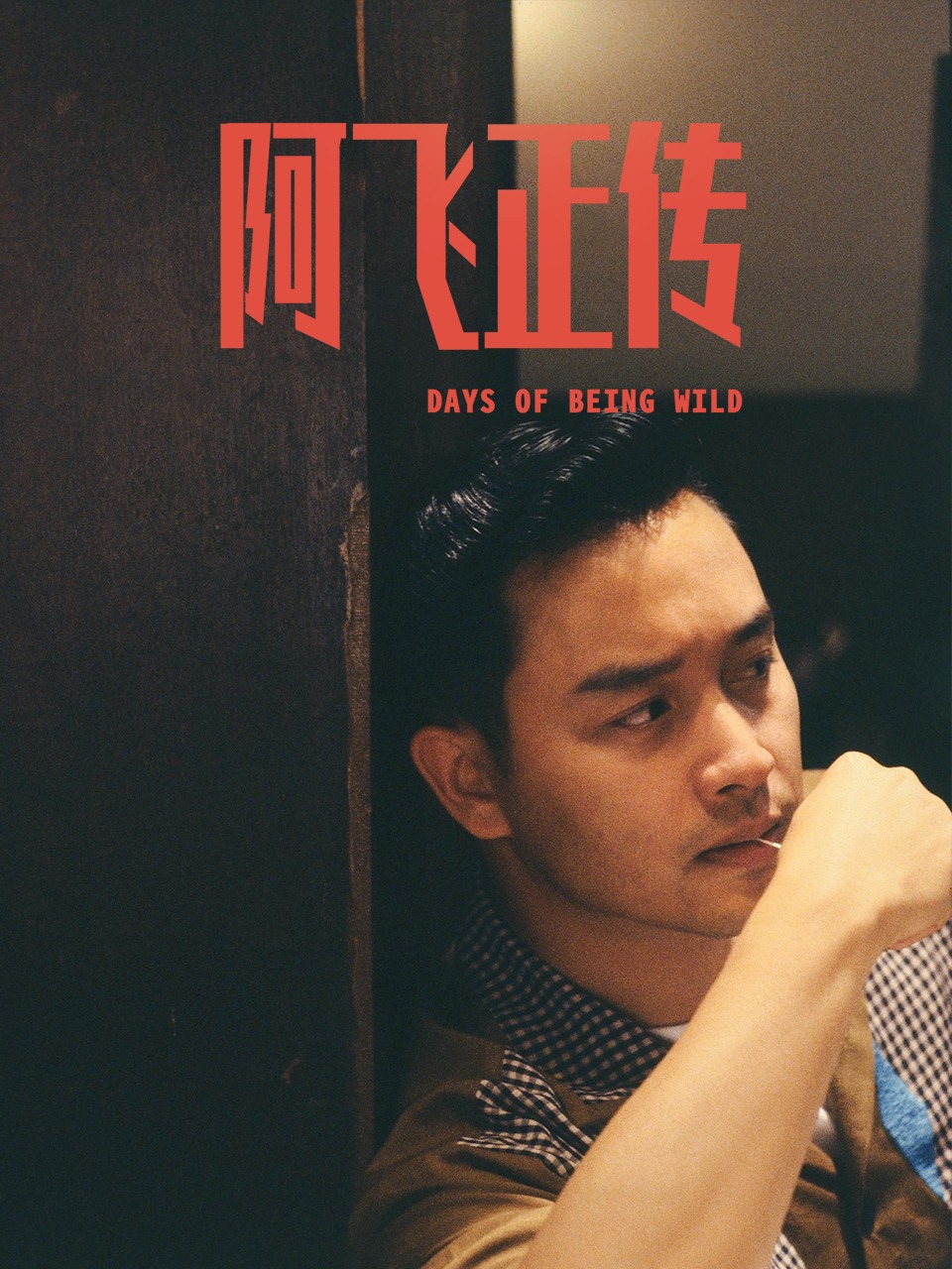 阿飞正传封面图