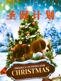 圣诞计划（普通话）