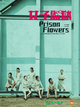 女囚风暴1995（粤语）封面图