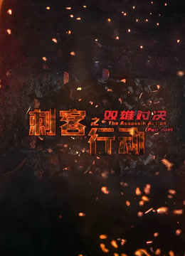 刺客行动之双雄对决封面图