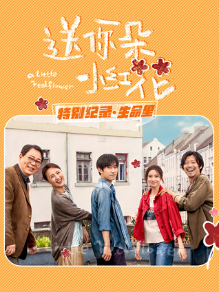 送你一朵小红花 特别纪录最终集封面图