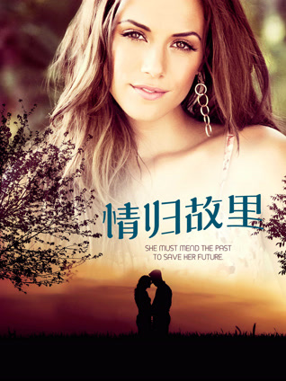 情归故里封面图