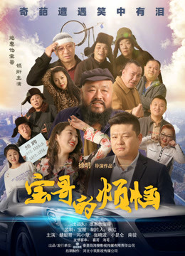 宝哥的烦恼封面图