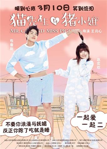 猫先生与猪小姐封面图