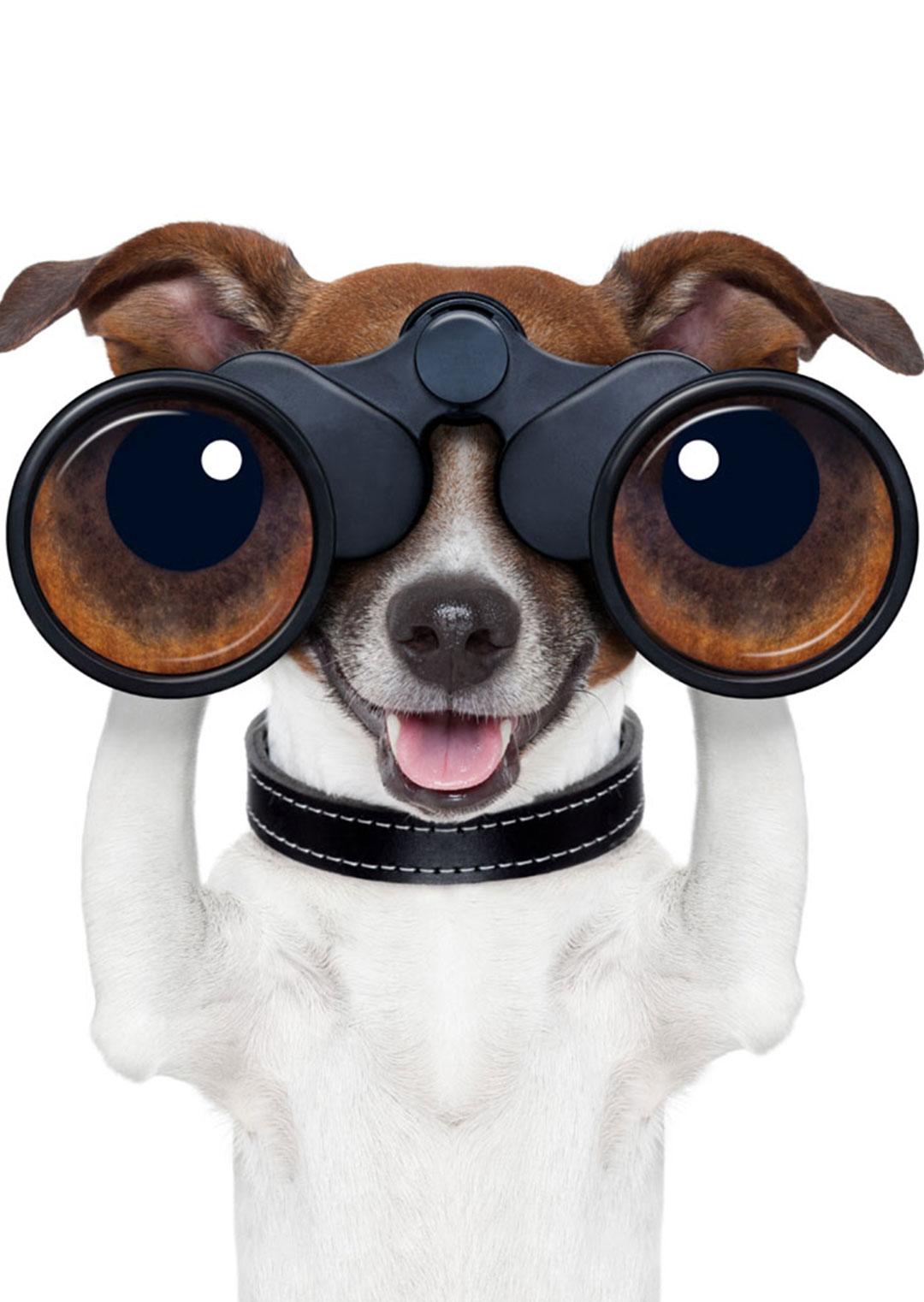 电影头条封面图