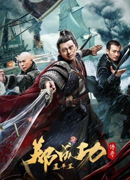 延平王郑成功传奇封面图