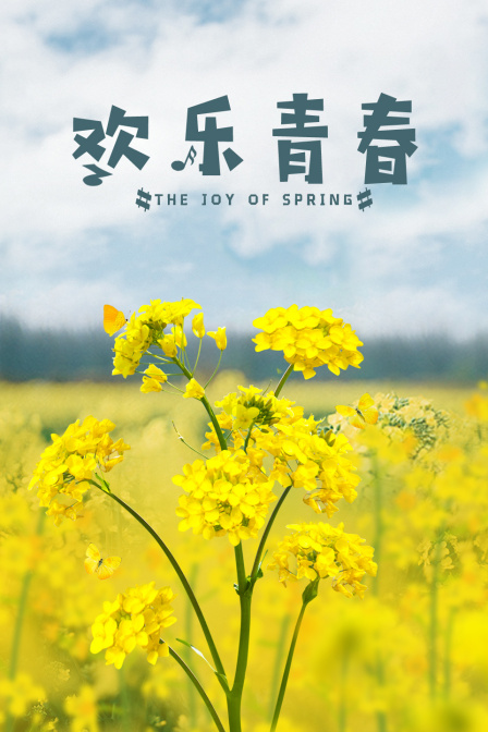 欢乐青春封面图