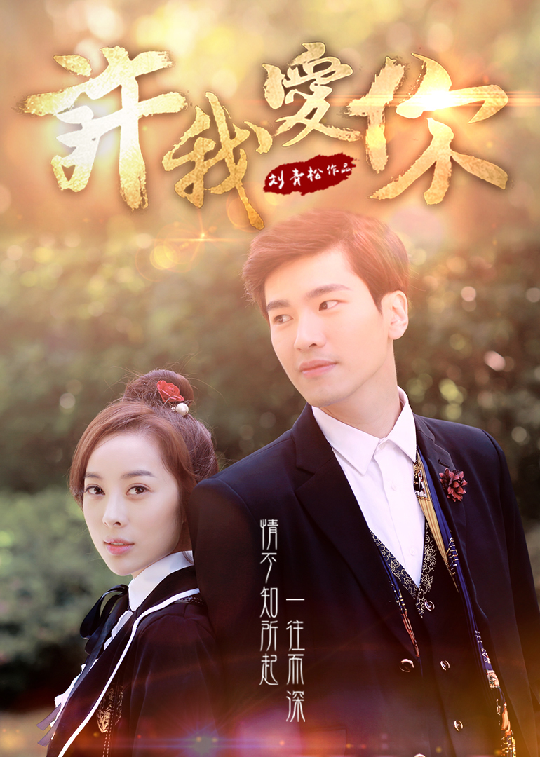 许我爱你封面图