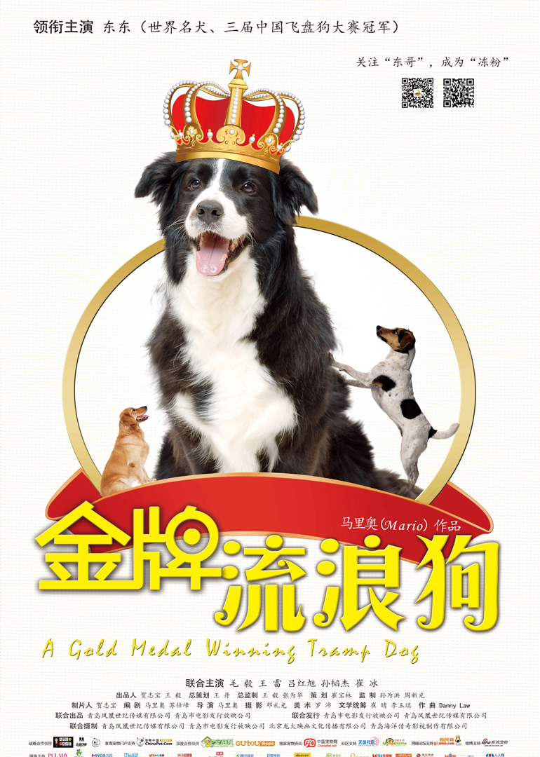 金牌流浪狗封面图