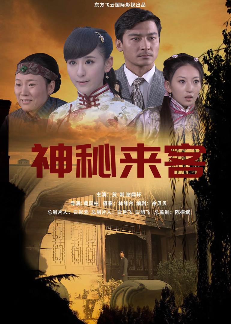 神秘来客封面图