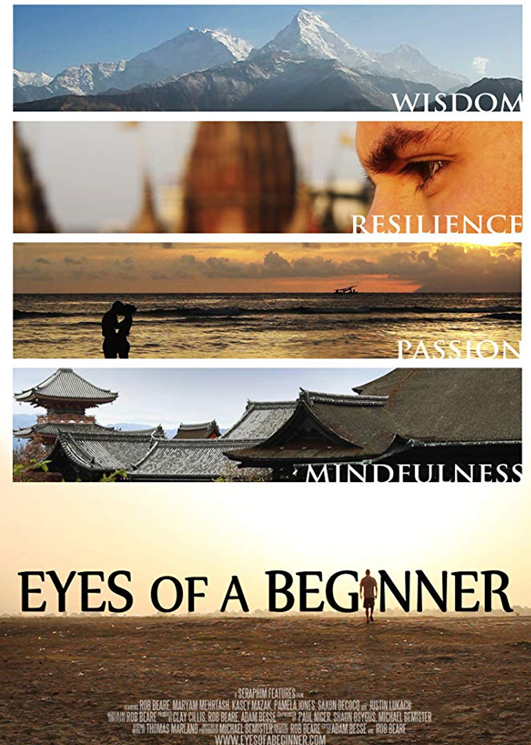 重获光明之旅封面图