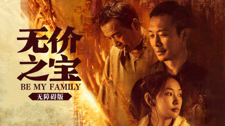 无价之宝无障碍版封面图