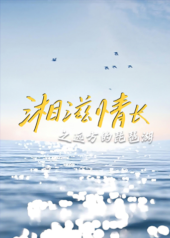 湘滋情长之远方的琵琶湖