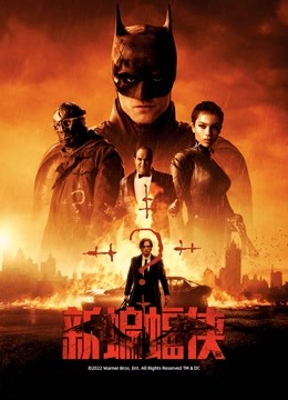 新蝙蝠侠国语版封面图