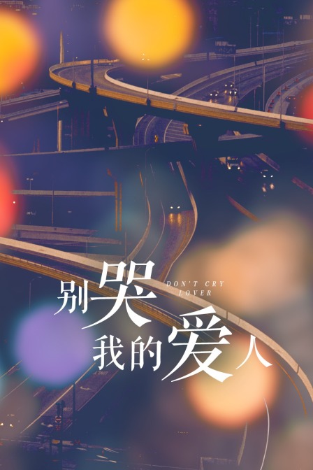 别哭我的爱人封面图
