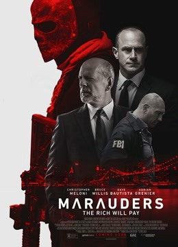 掠夺者国语版封面图