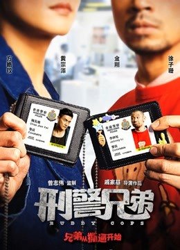 刑警兄弟粤语版封面图