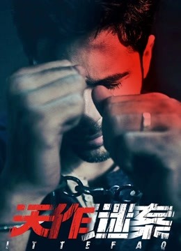 天作谜案国语版封面图