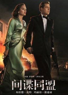 间谍同盟国语版封面图