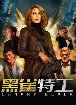 黑雀特工封面图