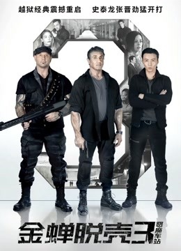 金蝉脱壳3：恶魔车站国语版封面图