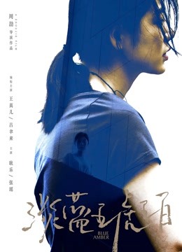 淡蓝琥珀无障碍解说版封面图