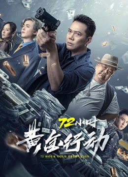 72小时黄金行动粤语版封面图