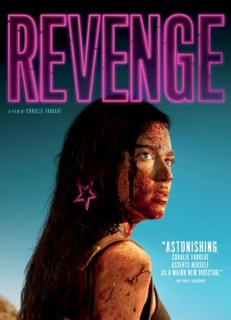 复仇战姬国语版封面图