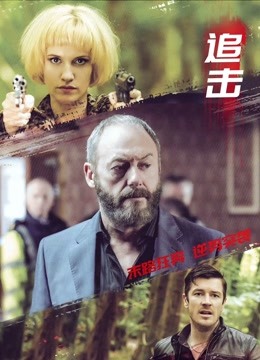 追击2017封面图