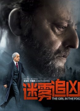 迷雾追凶国语版封面图