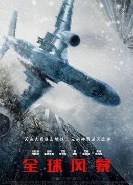 全球风暴国语版封面图