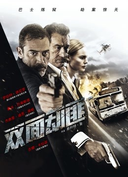 双面劫匪国语版封面图