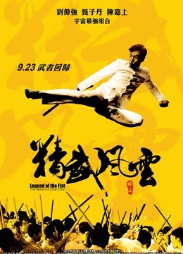 精武风云陈真粤语版封面图