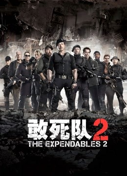 敢死队2国语版封面图