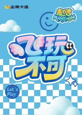 飞玩不可封面图