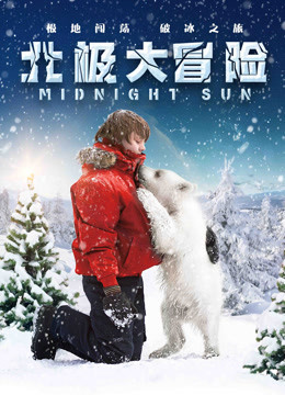 北极大冒险国语版封面图