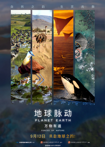 地球脉动：万物有道