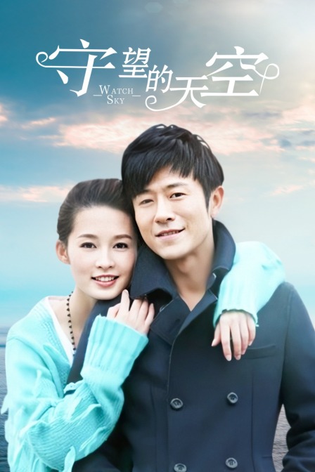 守望的天空封面图