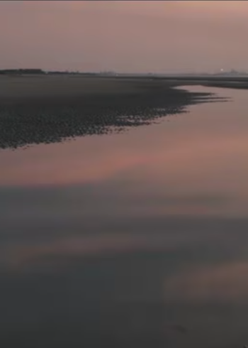 两个爸爸的故事