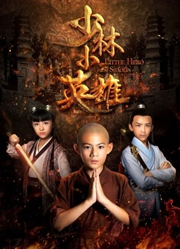少林小英雄封面图