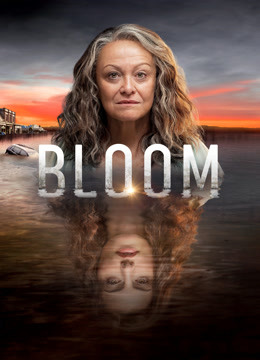 第二人生封面图