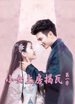 小女上房揭瓦第一季封面图