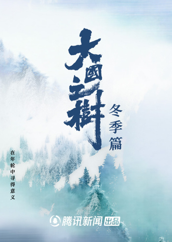 大国之树冬季篇