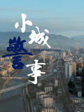 小城警事