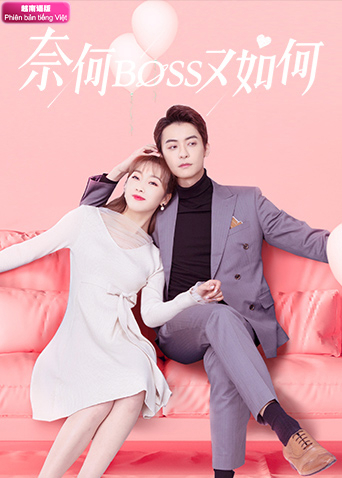 奈何BOSS又如何 越南语版封面图