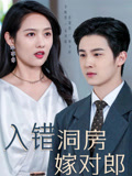 入错洞房嫁对郎封面图